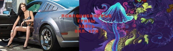 прущая мука Елабуга