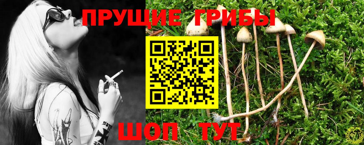 Псилоцибиновые грибы мицелий  Вход с VPN  Острогожск 