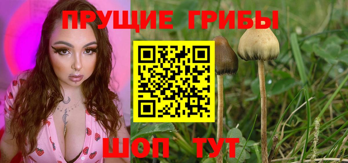 Псилоцибиновые грибы ЛСД Острогожск